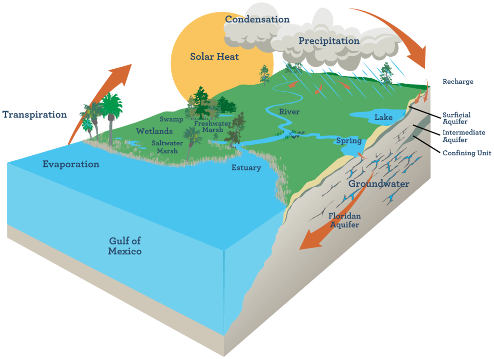 The Floridan Aquifer System WaterMatters org - H20 Zone map of florida aquifer